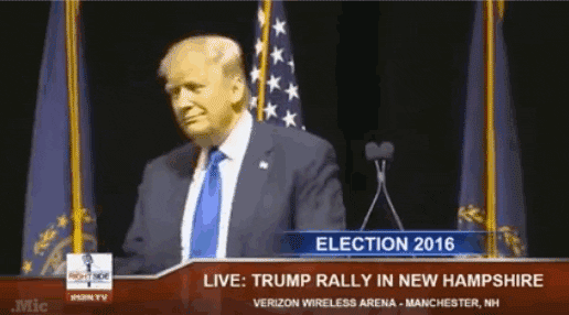 donald trump GIF