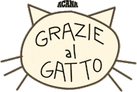 WonderfoodACANA cat grazie gatto petfood Sticker