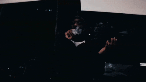 Bruce Ball Hogs GIF by Protect