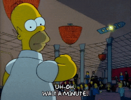 Season 1 Episode 10 GIF by The Simpsons