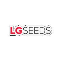 Harvest25 Sticker by LG Seeds