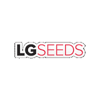 Harvest25 Sticker by LG Seeds