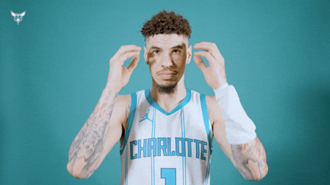 Hive Mentality Lamelo Ball GIF by Charlotte Hornets
