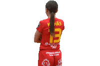 Floorball Salibandy Sticker by F-liiga