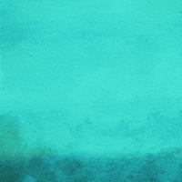 Landing Pumpkin Spice GIF by VeeFriends