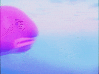 I Want to Fly