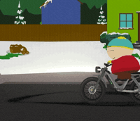 Circling Comedy Central GIF by South Park