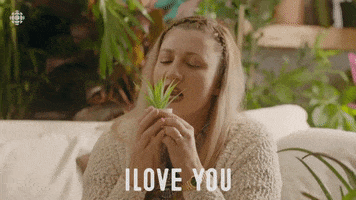 Season 4 Cbc GIF