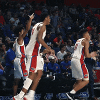 Lets Go Yes GIF by Florida Gators