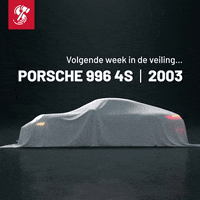 vakantieveilingen  GIF