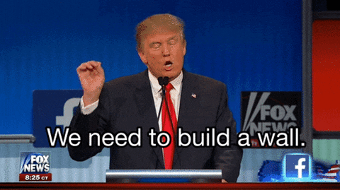 Political gif. Donald Trump stands at a podium and karate chops his hand in the air to seem more serious as he says, “We need to build a wall.”