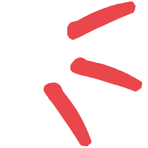 Line Trait Sticker by Besson-Chaussures
