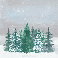 Merry Christmas GIF by Bells and Wishes