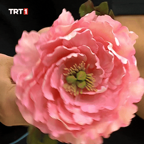 Valentines Day Love GIF by TRT