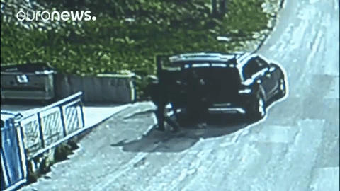 Trash Trafficking GIF by euronews