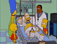 homer simpson GIF
