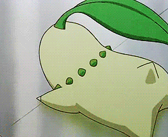 chikorita GIF
