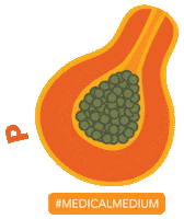 Fruit Sticker by Medical Medium