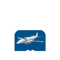 Plane Airplane Sticker by Ameriflight
