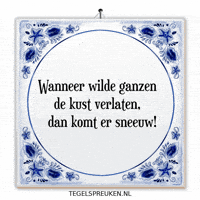 Winter Humor GIF by Tegelspreuken.nl