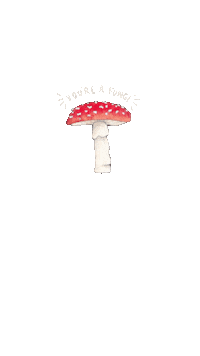 Mushroom Fathers Sticker