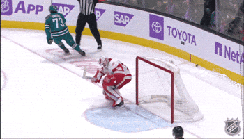 Happy Red Wings GIF by NHL