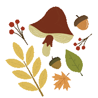 Autumn Leaves Sticker