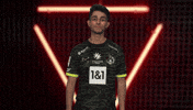 Borussia Dortmund Hello GIF by Bundesliga