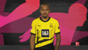 Borussia Dortmund Football GIF by Bundesliga