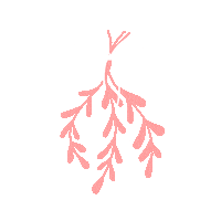 Navidad Sticker by Events Boutique