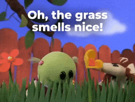 Grass smells nice