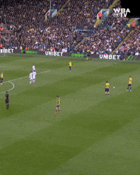 West Brom Wba GIF by West Bromwich Albion