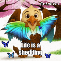 Flowers Peace GIF by Griphiel