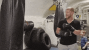 ufc 234 sport GIF by UFC