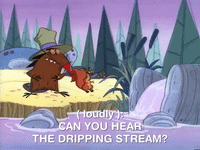 nickrewind nicksplat angry beavers GIF