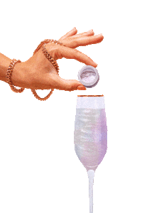 Glitter Champagne Sticker by Fancy Sprinkles