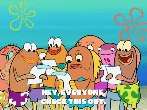 season 6 GIF by SpongeBob SquarePants