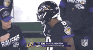 Regular Season Football GIF by NFL