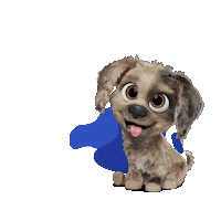 Chile Somospley Sticker by Champion Dog Proa