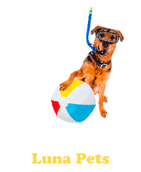 Dog Summer Sticker by Luna Pets