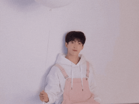 Dk 세븐틴 GIF