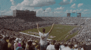 ucfknights football ucf knights GIF