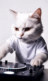 Cat Dj GIF by systaime