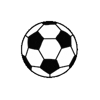 Copa Do Mundo Football Sticker