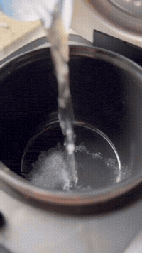 Thai Coconut Rice, One Click | Rice Robot