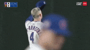 Chicago Cubs Sport GIF by MLB