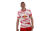 For You Kiss Sticker by RB Leipzig