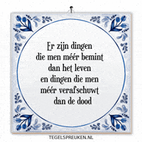 Troost Reflectie GIF by Tegelspreuken.nl