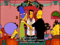 homer simpson episode 6 GIF