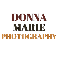 donnamariephotography photographer dmp donna marie photography Sticker